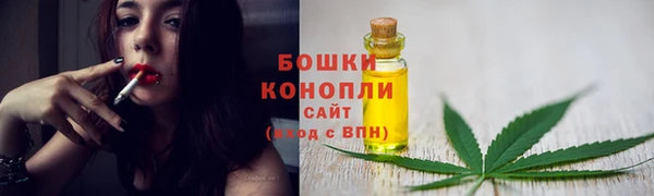 дмт Семилуки