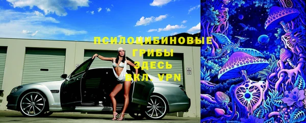 дмт Семилуки