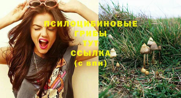 ГАЛЛЮЦИНОГЕННЫЕ ГРИБЫ Абдулино