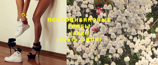 ГАЛЛЮЦИНОГЕННЫЕ ГРИБЫ Абдулино