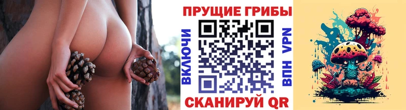 Псилоцибиновые грибы мухоморы  hydra онион  Гусиноозёрск 