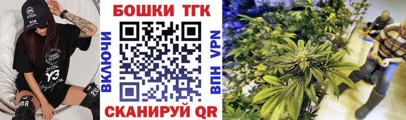 Бошки Шишки тримм Гусиноозёрск